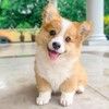 quinnconnolly6